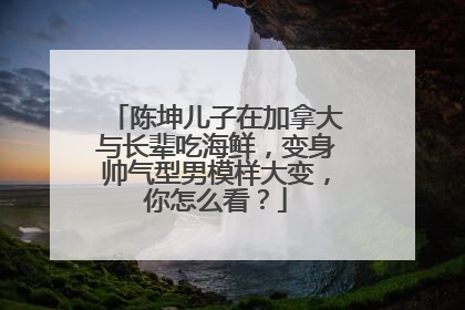 陈坤儿子在加拿大与长辈吃海鲜，变身帅气型男模样大变，你怎么看？