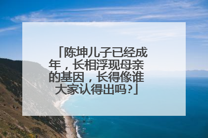 陈坤儿子已经成年,长相浮现母亲的基因,长得像谁大家认得出吗?