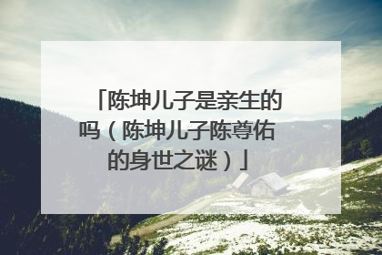 陈坤儿子是亲生的吗（陈坤儿子陈尊佑的身世之谜）