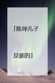 陈坤儿子是谁的