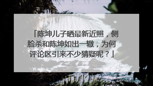 陈坤儿子晒最新近照,侧脸杀和陈坤如出一辙,为何评论区引来不少猜疑呢?