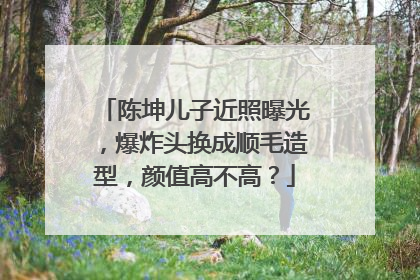 陈坤儿子近照曝光,爆炸头换成顺毛造型,颜值高不高?