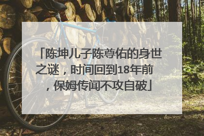 陈坤儿子陈尊佑的身世之谜，时间回到18年前，保姆传闻不攻自破