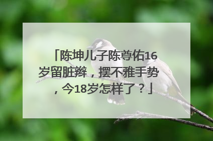 陈坤儿子陈尊佑16岁留脏辫,摆不雅手势,今18岁怎样了?