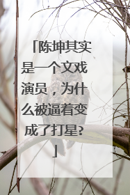 陈坤其实是一个文戏演员,为什么被逼着变成了打星?