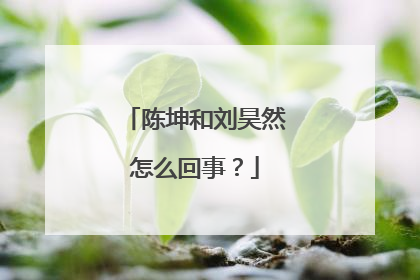 陈坤和刘昊然怎么回事？