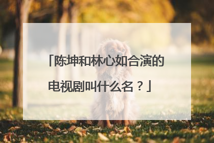 陈坤和林心如合演的电视剧叫什么名？