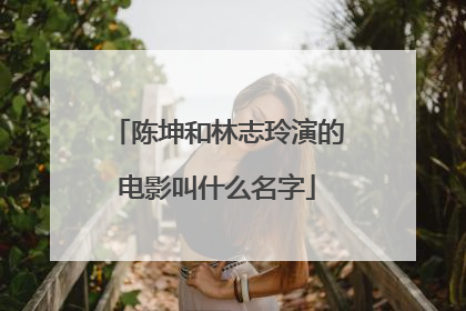 陈坤和林志玲演的电影叫什么名字