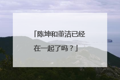 陈坤和董洁已经在一起了吗？