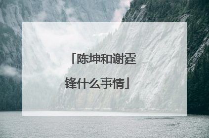 陈坤和谢霆锋什么事情