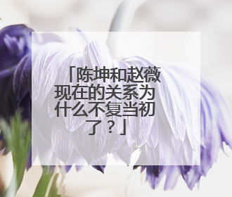 陈坤和赵薇现在的关系为什么不复当初了？