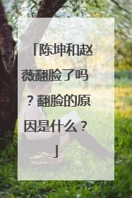 陈坤和赵薇翻脸了吗?翻脸的原因是什么?