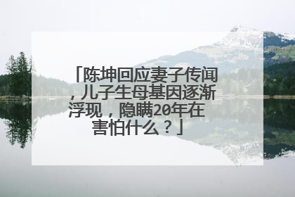 陈坤回应妻子传闻，儿子生母基因逐渐浮现，隐瞒20年在害怕什么？
