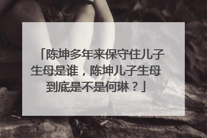 陈坤多年来保守住儿子生母是谁，陈坤儿子生母到底是不是何琳？