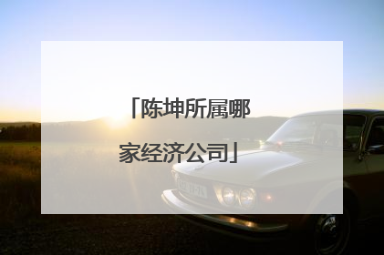 陈坤所属哪家经济公司