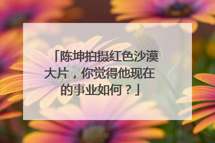 陈坤拍摄红色沙漠大片，你觉得他现在的事业如何？