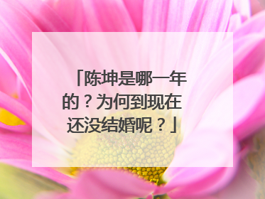 陈坤是哪一年的？为何到现在还没结婚呢？