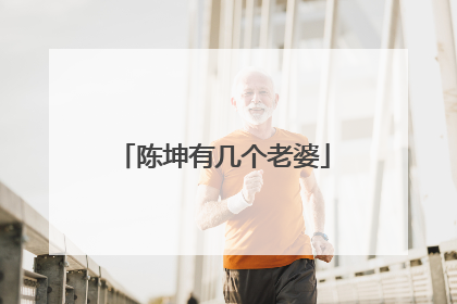 陈坤有几个老婆