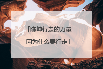 陈坤行走的力量 因为什么要行走