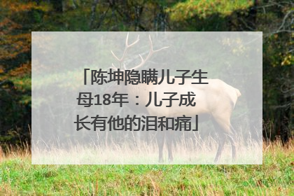 陈坤隐瞒儿子生母18年：儿子成长有他的泪和痛