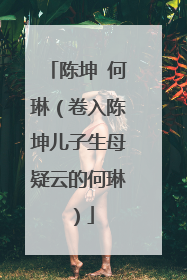 陈坤 何琳(卷入陈坤儿子生母疑云的何琳)