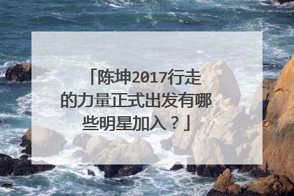 陈坤2017行走的力量正式出发有哪些明星加入？