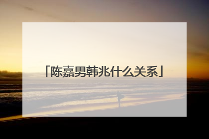 陈嘉男韩兆什么关系