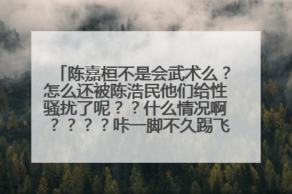 陈嘉桓不是会武术么？怎么还被陈浩民他们给性骚扰了呢？？什么情况啊？？？？咔一脚不久踢飞了么，，，，