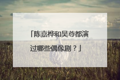 陈嘉桦和吴尊都演过哪些偶像剧？