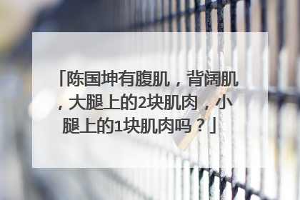 陈国坤有腹肌，背阔肌，大腿上的2块肌肉，小腿上的1块肌肉吗？