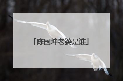 陈国坤老婆是谁