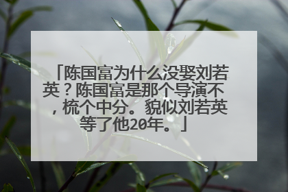 陈国富为什么没娶刘若英?陈国富是那个导演不,梳个中分。貌似刘若英等了他20年。