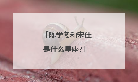 陈学冬和宋佳是什么星座?