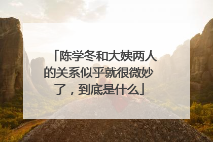 陈学冬和大姨两人的关系似乎就很微妙了，到底是什么