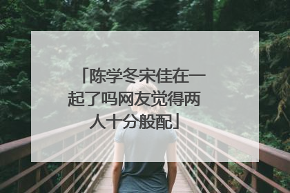 陈学冬宋佳在一起了吗网友觉得两人十分般配