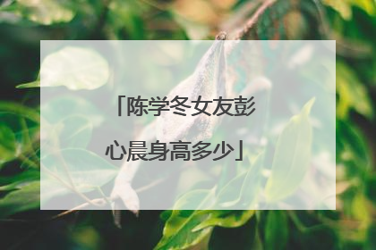 陈学冬女友彭心晨身高多少