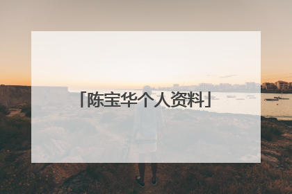 陈宝华个人资料