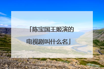 陈宝国王姬演的电视剧叫什么名