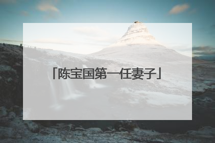 陈宝国第一任妻子