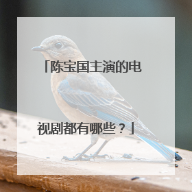 陈宝国主演的电视剧都有哪些？