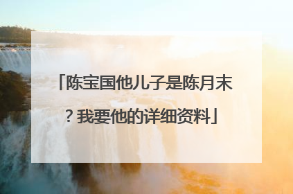 陈宝国他儿子是陈月末?我要他的详细资料