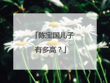 陈宝国儿子有多高？