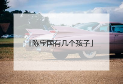 陈宝国有几个孩子