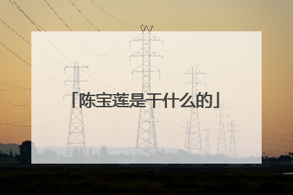 陈宝莲是干什么的