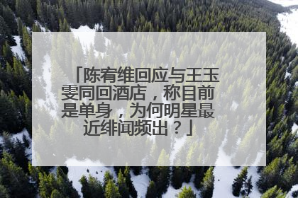 陈宥维回应与王玉雯同回酒店，称目前是单身，为何明星最近绯闻频出？
