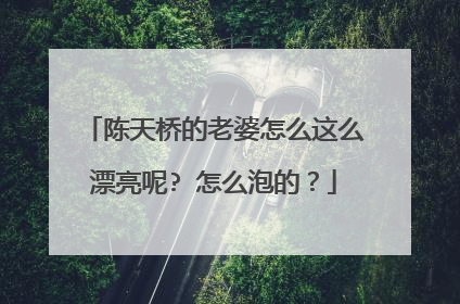 陈天桥的老婆怎么这么漂亮呢? 怎么泡的?