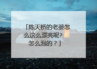 陈天桥的老婆怎么这么漂亮呢? 怎么泡的？