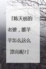 陈天桥的老婆,雒芊芊怎么这么漂亮呢?