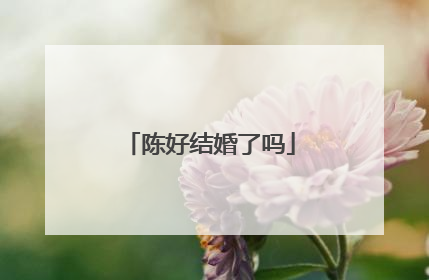 陈好结婚了吗