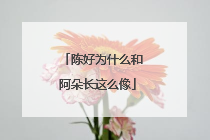 陈好为什么和阿朵长这么像